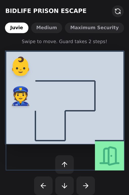 Guard Maze Escape