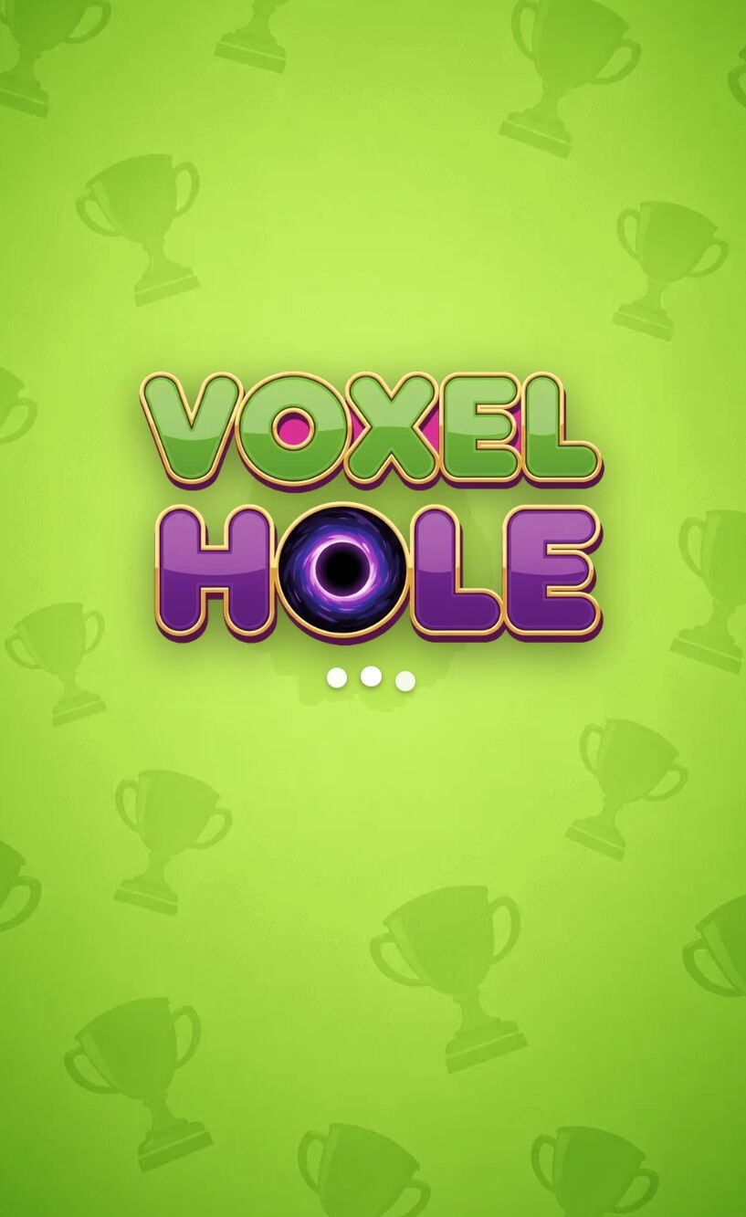 Voxel Hole