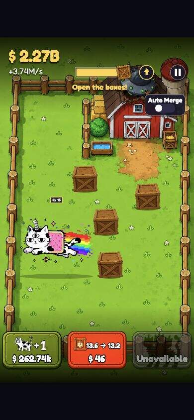 Strange Cats